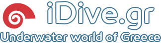 This site will help you with up to date information considering diving on the greek islands of Samos, Kos, Corfu, Rhodes, Athens, Chios and more.